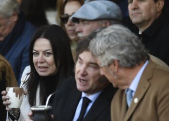 Pettovello y Macri van a fondo contra Santiago Caputo y corren al Galleguito Álvarez de Educación