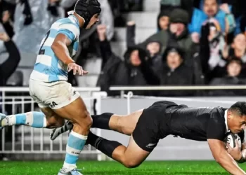 Luego de la derrota, qué necesitan Los Pumas para ser campeones por primera vez en su historia del Rugby Championship y la agenda de partidos