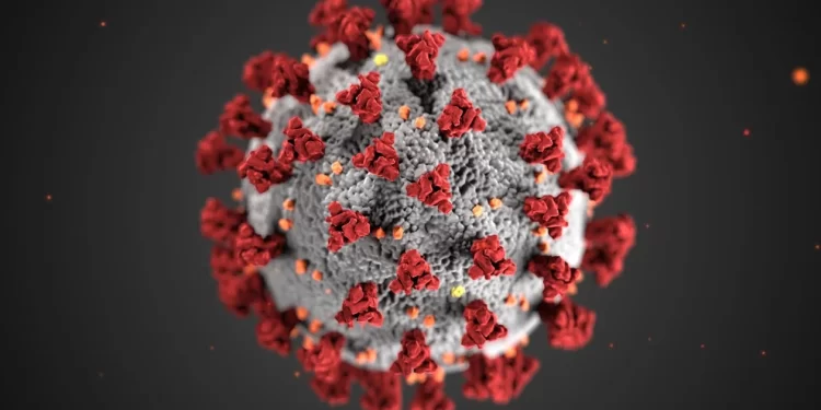 Viruela del mono en Argentina: cuántos casos del virus Mpox hay y cuáles son los síntomas para prestar atención
