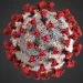 Viruela del mono en Argentina: cuántos casos del virus Mpox hay y cuáles son los síntomas para prestar atención