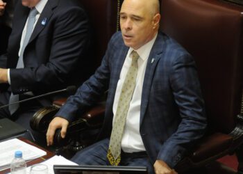 La confesión de un senador de La Libertad Avanza reavivó la polémica por la cantidad de asesores.