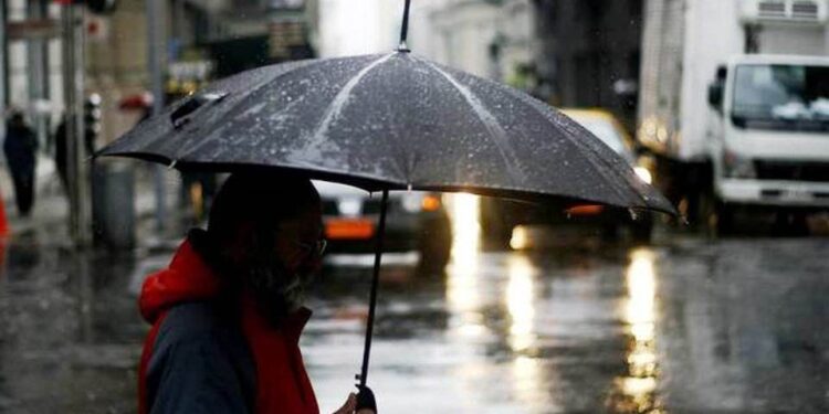 Lluvias traen alivio al Chaco, pero los milimetrajes aún son insuficientes para el agro