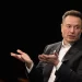 Elon Musk podría visitar Argentina para debatir sobre tecnología, demografía y crecimiento económico