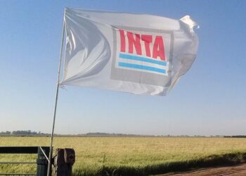 Gobierno planea vender 27 mil hectáreas del INTA y eliminar más de mil puestos de trabajo