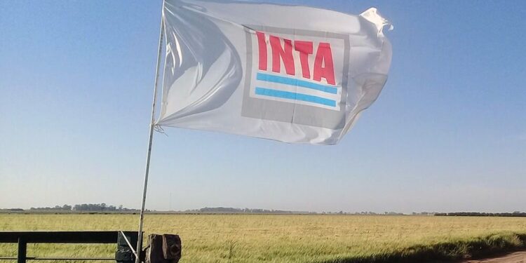 Gobierno planea vender 27 mil hectáreas del INTA y eliminar más de mil puestos de trabajo