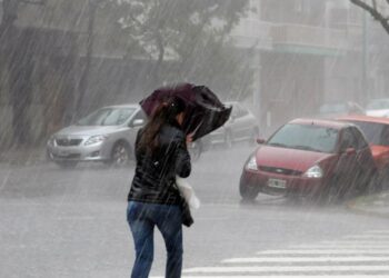 Temporal en Resistencia y Fontana: árboles caídos y daños materiales en edificios clave