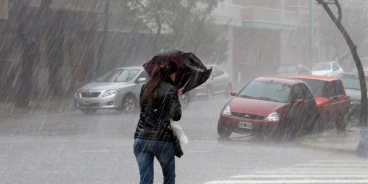 Temporal en Resistencia y Fontana: árboles caídos y daños materiales en edificios clave