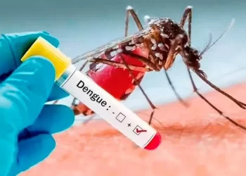 Inicio de la vacunación contra el dengue para jóvenes nacidos entre 2000 y 2004