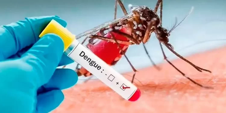 Inicio de la vacunación contra el dengue para jóvenes nacidos entre 2000 y 2004