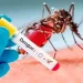 Inicio de la vacunación contra el dengue para jóvenes nacidos entre 2000 y 2004