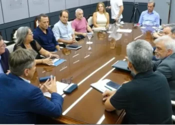 Provincia y Nación coordinan la exportación de carbón vegetal desde Chaco