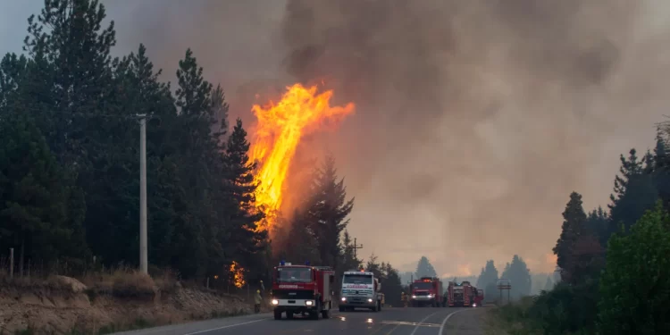 Incendio en El Bolsón: “Tenemos acreditado que fue intencional”, aseguró el gobernador de Río Negro