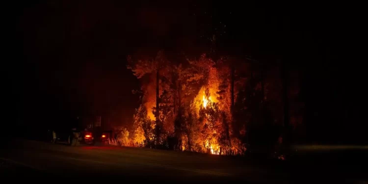 Se descontroló el incendio en El Bolsón y ordenaron una evacuación de urgencia: hay 700 casas en peligro