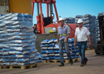 Chaco retoma exportaciones de carbón vegetal desde el Puerto de Barranqueras hacia Europa