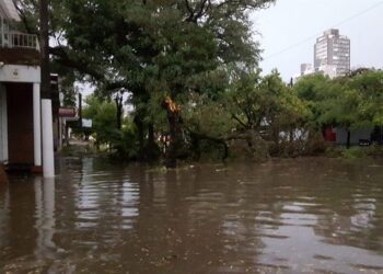 Pronostican tormentas aisladas en Resistencia hasta la tarde