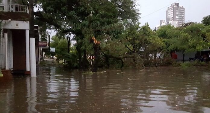Pronostican tormentas aisladas en Resistencia hasta la tarde