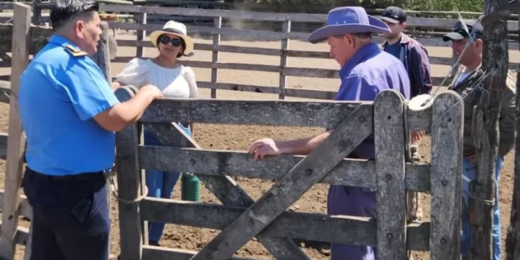 Robo de ganado: este jueves la fiscal decidirá si libera al abogado Ricardo Osuna