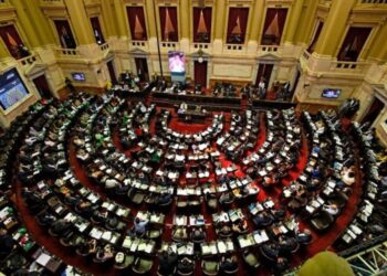 Tensión en el Congreso: Diputados debaten el DNU de Milei para el acuerdo con el FMI