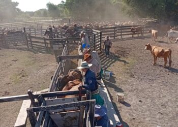 “EN CHACO SE COMBATE EL DELITO”, ASEGURÓ EL MINISTRO MATKOVICH