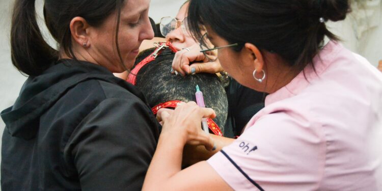 SE REALIZÓ EL PRIMER OPERATIVO DEL PROGRAMA “DEJANDO HUELLAS” EN EL PARQUE DE LA DEMOCRACIA DE RESISTENCIA