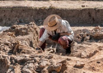 Científicos resuelven el misterio de la momia austríaca: Revelan su asombroso método de embalsamamiento