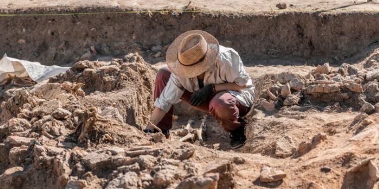 Científicos resuelven el misterio de la momia austríaca: Revelan su asombroso método de embalsamamiento