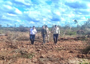 PRODUCCIÓN FRENÓ UN DESMONTE ILEGAL DE 1600 HECTÁREAS AL NORTE DE TACO POZO
