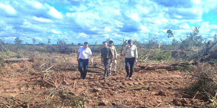 PRODUCCIÓN FRENÓ UN DESMONTE ILEGAL DE 1600 HECTÁREAS AL NORTE DE TACO POZO