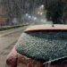Inesperada Nevada en el Conurbano Bonaerense: El Frío Extremo Tiñe de Blanco la Región