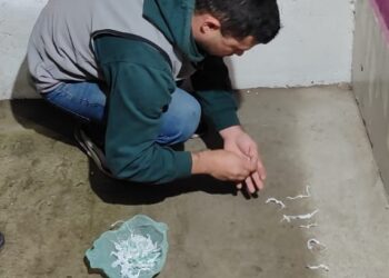 PRESUNTO DEALER DETENIDO CON MÁS DE 100 DOSIS DE COCAÍNA
