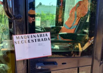 NUEVA INTERVENCIÓN DE LA DIRECCIÓN DE BOSQUES PUSO FRENO A OTRO DESMONTE ILEGAL