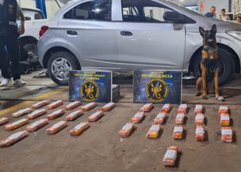 CONSUMOS PROBLEMÁTICOS PUSO FIN A LA “BANDA DEL DELFÍN”: CAYERON OTROS 3 IMPLICADOS