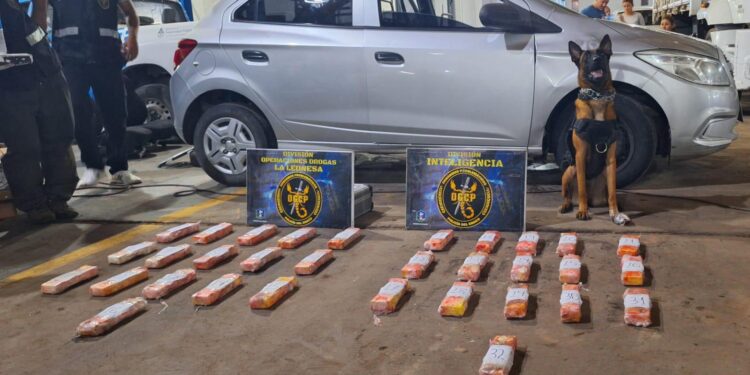 CONSUMOS PROBLEMÁTICOS PUSO FIN A LA “BANDA DEL DELFÍN”: CAYERON OTROS 3 IMPLICADOS