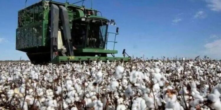 EL CONSEJO FEDERAL AGROPECUARIO SE REÚNE EN RESISTENCIA