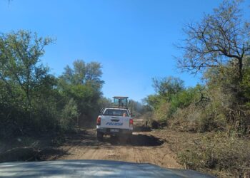 EXITOSO OPERATIVO CONTRA EL DESMONTE ILEGAL AL SUR DE PINEDO