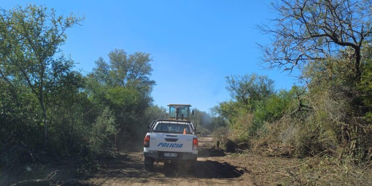 EXITOSO OPERATIVO CONTRA EL DESMONTE ILEGAL AL SUR DE PINEDO