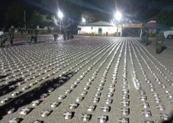 Incautan Más de Una Tonelada y Media de Marihuana en Chaco: Golpe Millonario al Narcotráfico Regional