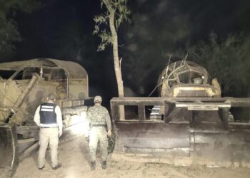 Detienen nuevo desmonte en zona protegida del Departamento Almirante Brown.