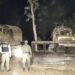 Detienen nuevo desmonte en zona protegida del Departamento Almirante Brown.
