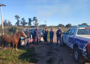 RECUPERAN UN CABALLO ROBADO DEL CUARTEL DE BOMBEROS