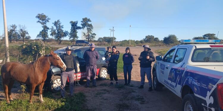 RECUPERAN UN CABALLO ROBADO DEL CUARTEL DE BOMBEROS