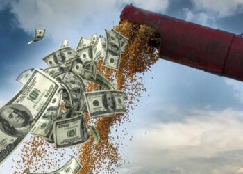 Mercado Cambiario bajo Presión Preelectoral: Sin Impulso Agrícola, el Dólar Enfrenta un Test Crucial