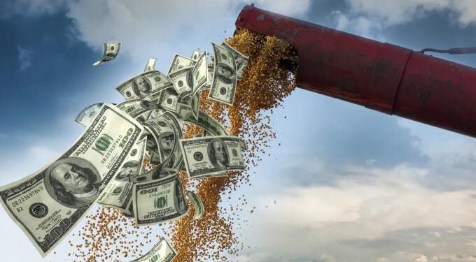 Mercado Cambiario bajo Presión Preelectoral: Sin Impulso Agrícola, el Dólar Enfrenta un Test Crucial