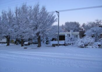 Maquinchao: La Patagonia en el Epicentro de un Frío Extremo Récord Histórico
