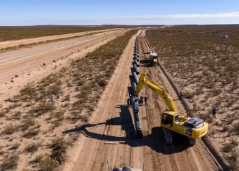 Vista Oil & Gas Asciende a Segunda Productora de Petróleo en Argentina Impulsada por Vaca Muerta