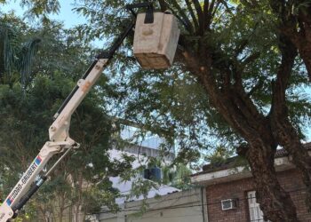 MÁS LUZ, MÁS SEGURIDAD: SECHEEP Y EL MUNICIPIO DE RESISTENCIA AVANZAN CON LA PODA RESPONSABLE