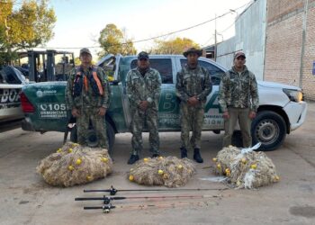 BOA INTENSIFICÓ CONTROLES Y FISCALIZACIÓN EN EL RÍO PARANÁ