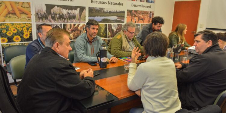 PROPUESTAS DE FINANCIAMIENTO PARA PEQUEÑOS Y MEDIANOS PRODUCTORES DE EL IMPENETRABLE