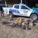ALLANAN UN DOMICILIO Y SECUESTRAN ARMAS Y HERRAMIENTAS