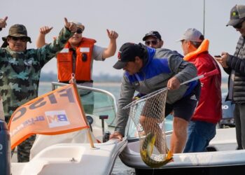 Paso de la Patria se Consolida como Capital Nacional de la Pesca: El Dorado Brilla en un Torneo Récord